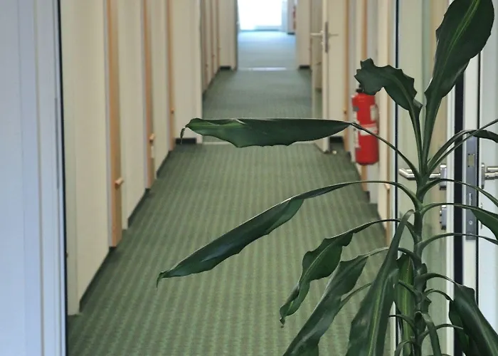 Otel Frankfurt-messe 3*